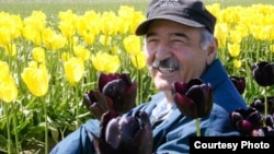 Бозор Собир в США, Архивное фото