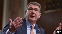 Эштон Картер