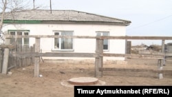 Во дворе жителя села Жолкудук Е.И. Павлодарская область, апрель 2016 года.