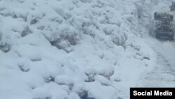 Иллюстрациялык сүрөт. 