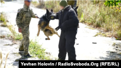 Разом із бійціями навички відпрацьовують пси