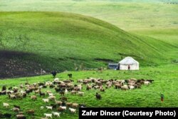 Иллюстрациялык сүрөт.