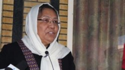 حبیبه سرابی، والی بامیان در زمان ریاست جمهوری حامد کرزی