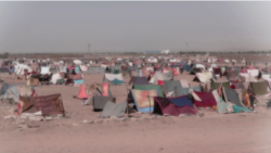 آرشیف، بیجا شده های داخلی