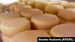 Pirotski kačkavalj, foto: Branko Vučković