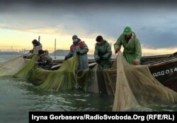 Рыбаки выбирают невод