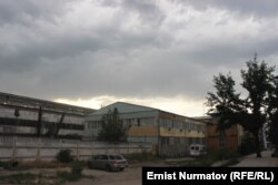 Международный университет науки и бизнеса