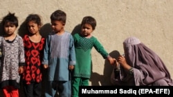 آرشیف، کمپاین تطبیق واکسین پولیو