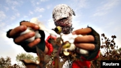 Dünyada 78 milyon savadsız böyüklərin 2/3-si qadınlardır.