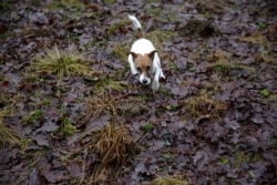 «Калі ёсьць блізкія, каханыя, сябры»