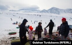 Атасы менен кызы дөңгөлөк тандап жатат.