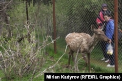 Заповедник «Бугу-Марал».