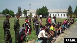 Өспүрүмдөр колониясы