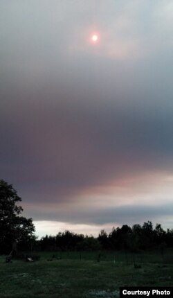 Фота: onliner.by