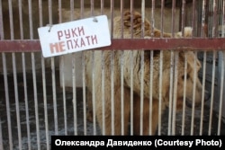 Ведмідь на фермі у Самборі