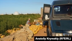 Автодорога біля села Молочне Сакського району. На дальньому плані видно російську військову радіостанцію з радіопрозорим куполом