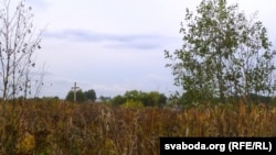 Крапівенскае поле, дзе ўстяляваны памятны знак ў памяць пра Аршанскую бітву