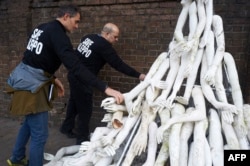 У посольства России в западной части Лондона, 3 ноября 2016 года