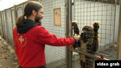 Олівер Байєр, співробітник притулку Wiener Tierschutzverein