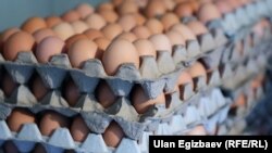 Учурда кыргыз базарын Казакстандан келген жумуртка каптаганы айтылууда.