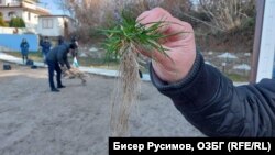 Пляж? Який пляж?