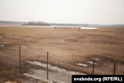 Для маралаў пабудавалі адмысловы навес ад дажджу