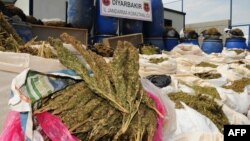 Түркия, Диярбакыр