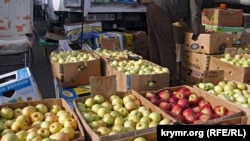 Кырымда быел көз алмага мул булды