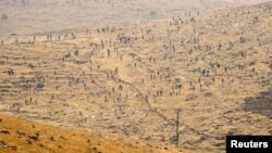 Чизре шаарчасынын айланасындагы тоолуу аймак.