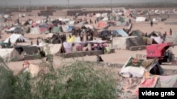 آرشیف- بیجا شده های داخلی در ولایت هرات