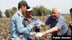 Пахта терген мугалимдер