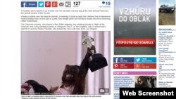 Kristal mükafatı alarkən (Daily Mail)