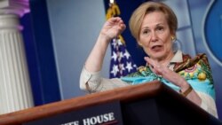 دیبورا بیریکس مسئول هماهنگی تلاش‌های مبارزه دربرابر وبای کرونا در امریکا