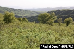 Инҷо яке аз маконҳои сукунати морхӯр аст.