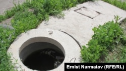 Айылда ушундай аңдар сууга толуп калууда