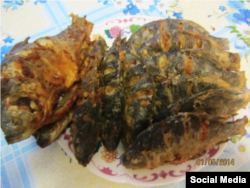 Табан балыгын кыздырып ашыйлар