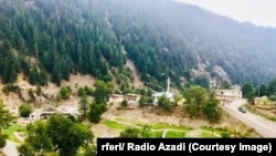 آتش سوزی نخست از جنگلات ولسوالی نورگرام نورستان آغاز شد