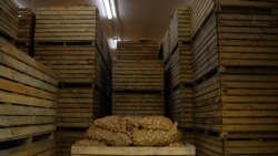 Соода-логистика борборунда сакталган картөшкө.