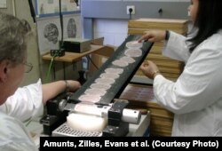 Иллюстративное фото.