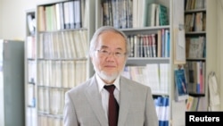 Иосинори Осуми.