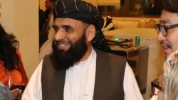 سهیل شاهین، سخنگوی گروه طالبان در قطر