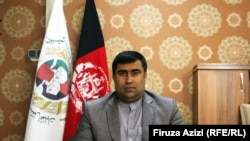 حبیب‌الرحمان ننگ، رئیس دارالانشای کمیسیون مستقل انتخابات