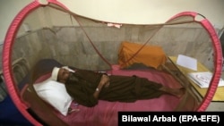 یک بیمار تب دنگی در پاکستان، عکس از آرشیف