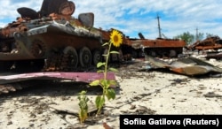 Знищена російська військова техніка на території агроферми, яку військові РФ використовували як військову базу. Харківська область, Україна, 17 липня 2022 року