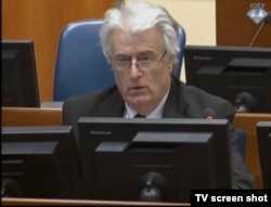 Radovan Karadzic at his war crimes trial in The Hague earlier this month