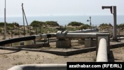 Illýustrasiýa suraty