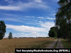 Сагринські поля