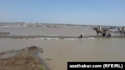 سیلاب های اخیر در مناطق شمال افغانستان خسارات فراوانی به زمین های زراعتی وارد کرده است