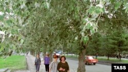 Тополиный пух является сильным аллергеном