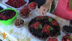 Ысык-Көлдө "Карагат" фестивалы өттү